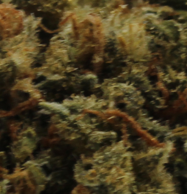 Starburst (AA) $2.07/Gram - Image 2