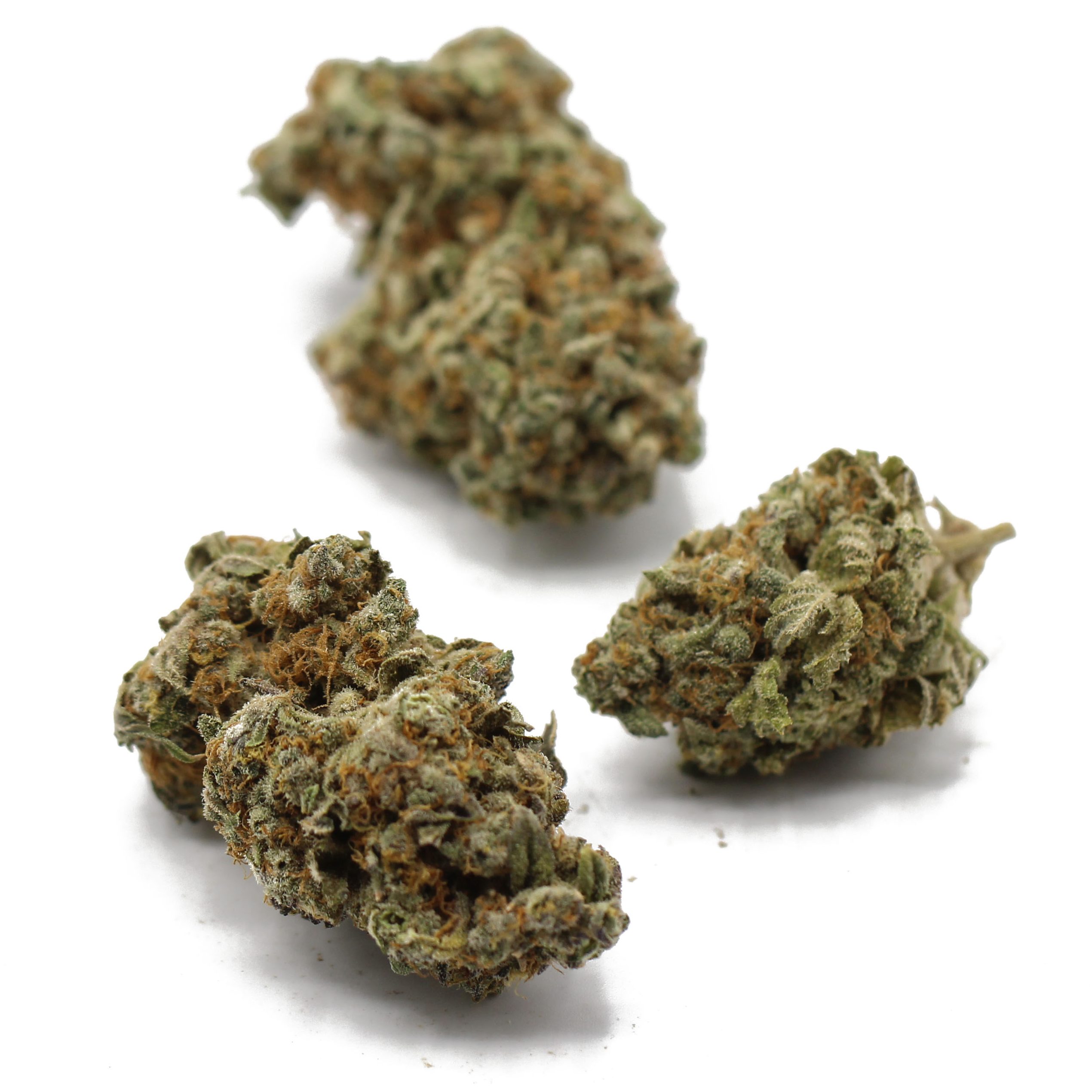 Animal Cookies (AAAA+ Craft) - $7.50/gram - Image 3
