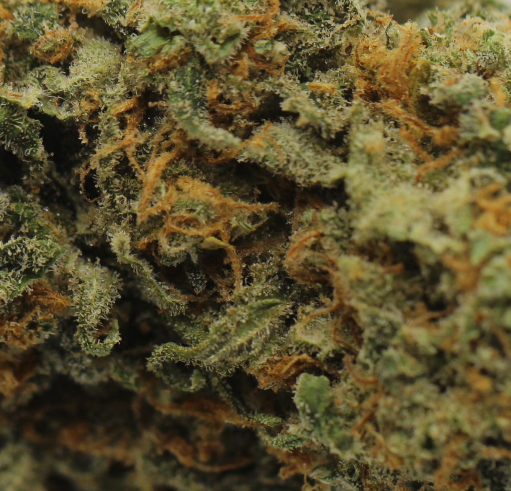 Super Silver Haze (AA) $2.25/Gram - Image 2