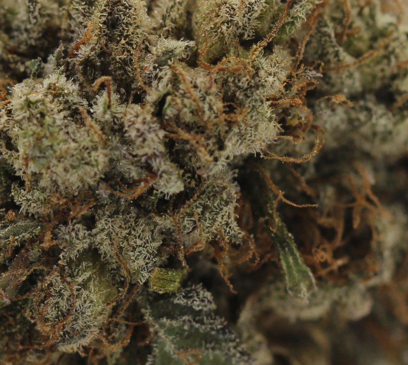 Blueberry Muffin (AA) $2.25/Gram - Image 2