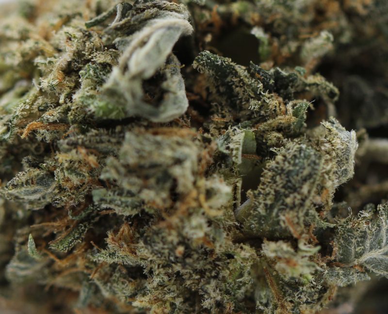 Cali Sour (AAA) - $4.28/gram - Image 2