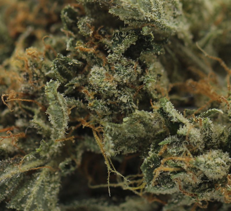 Wedding Pie (AA) $2.25/Gram - Image 2