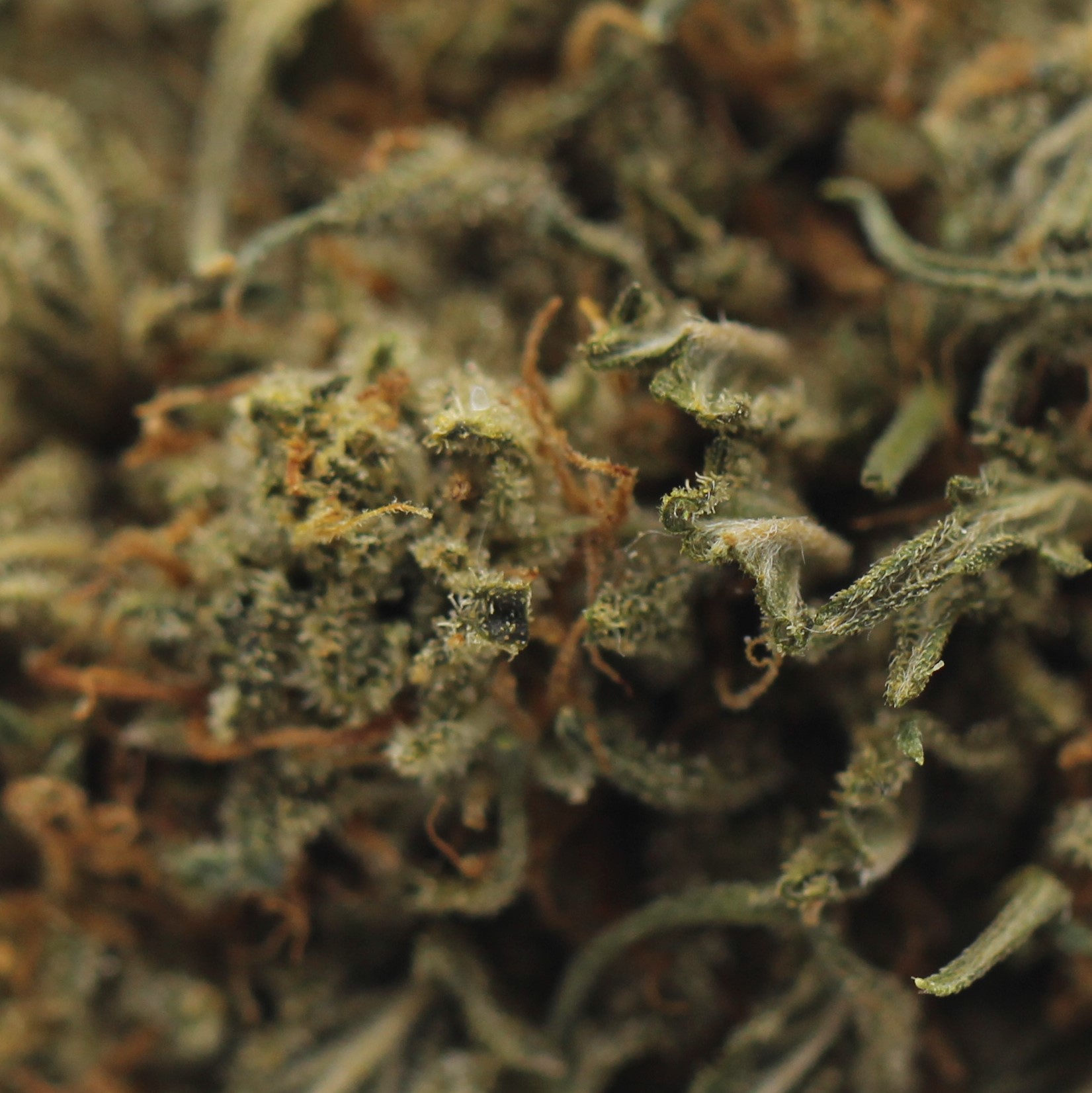 Chemdawg (AAA) $4.28/gram - Image 2