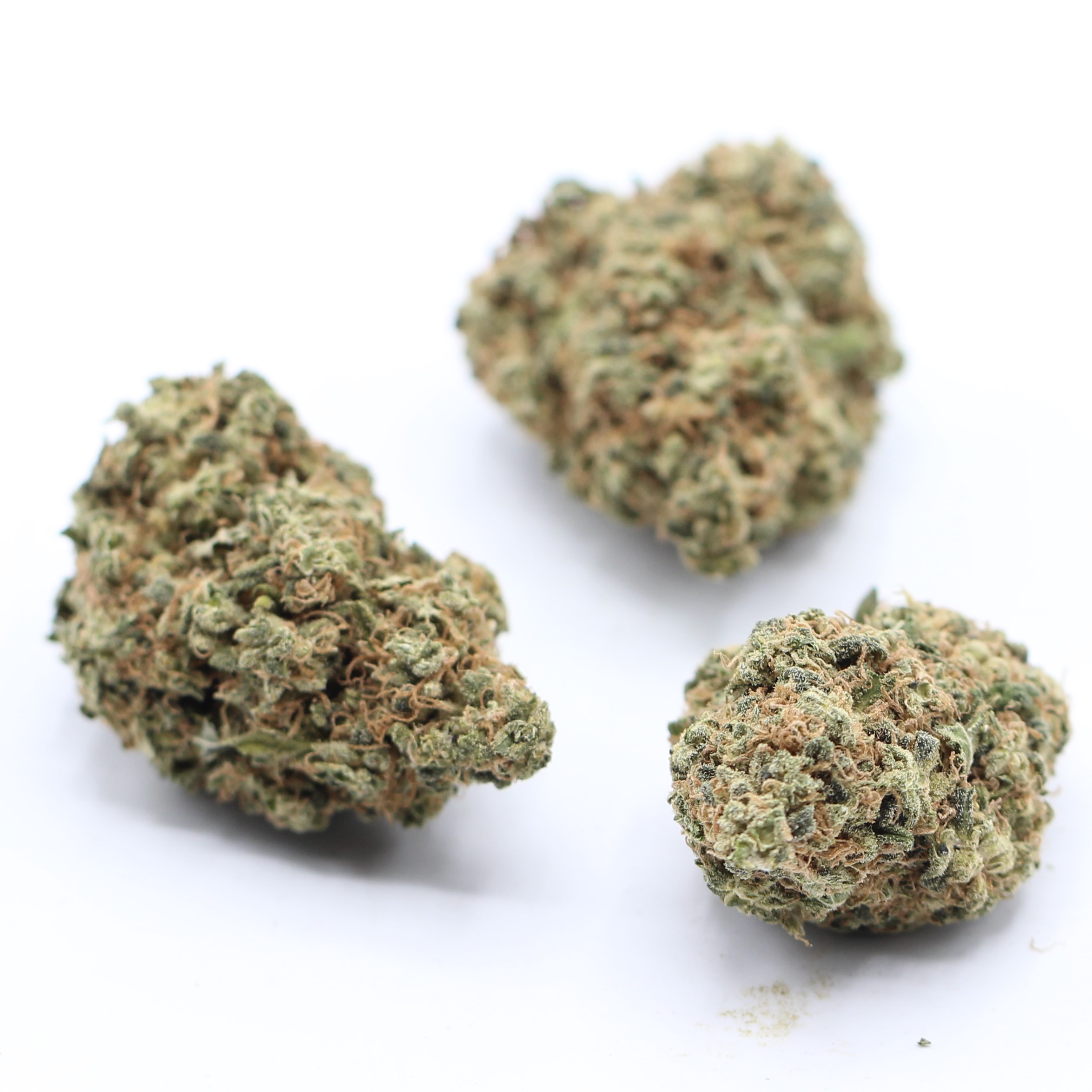 Grape Pie (AAAA) $5.00/gram - Image 3
