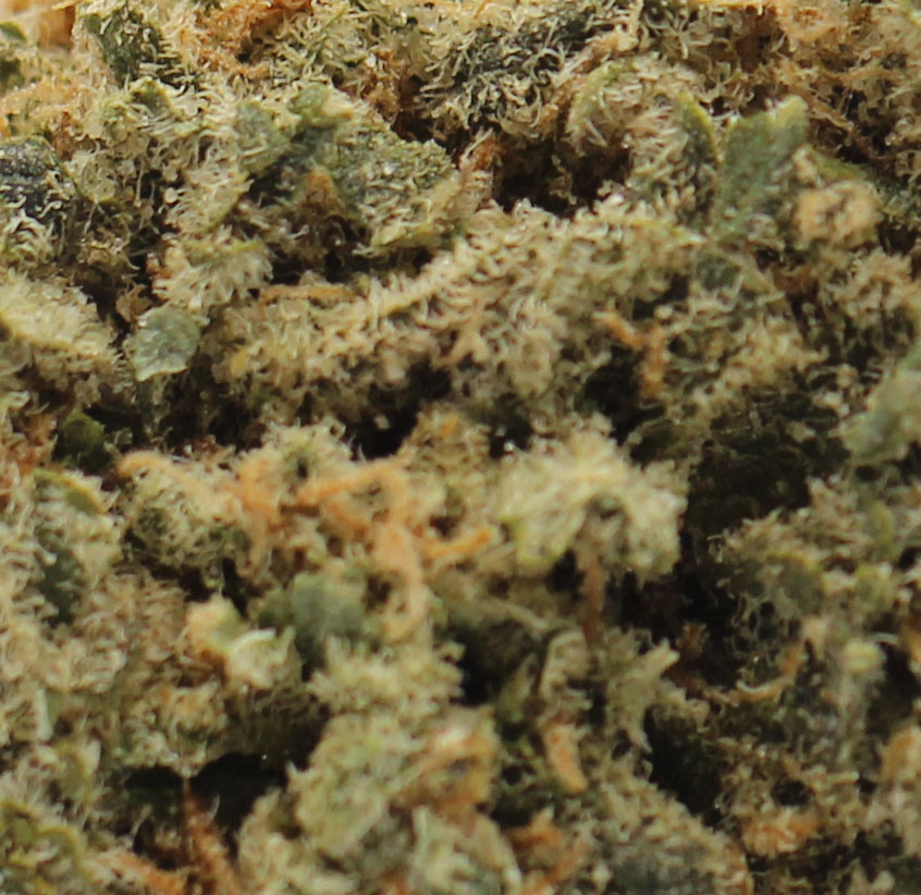 Dairy Queen - $5.35/gram (AAAA) - Image 2