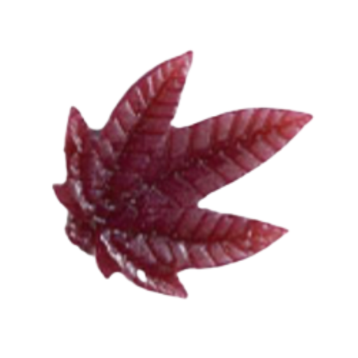 Ganja Edibles – Ganja Leaf Black Cherry – 1 x 1000mg THC - Image 2