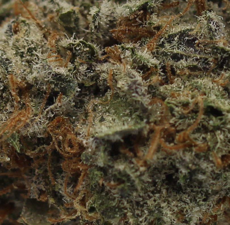 Peanut Butter (AA+) $3.14/gram - Image 2
