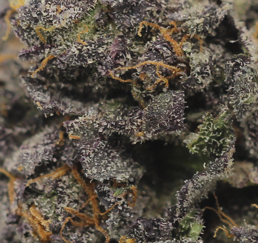 Jealousy (AAAA+ Craft) - $6.79/gram - Image 2
