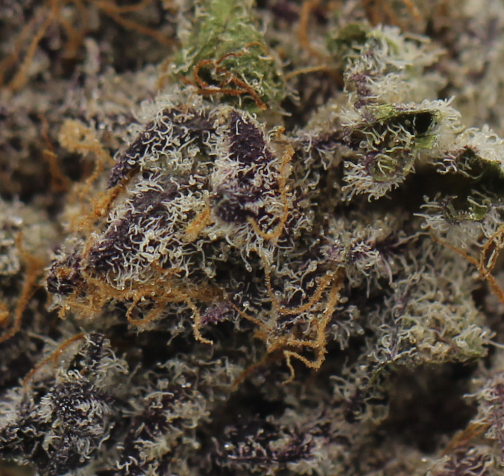Mandalorian (AAAA+ Craft) - $6.96/gram - Image 2