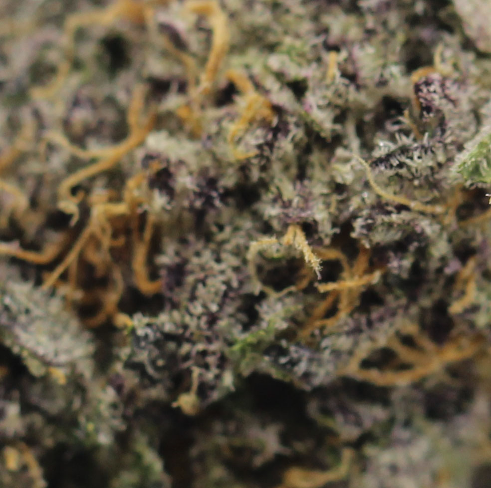 Passion #1 (AA) $2.18/gram - Image 2