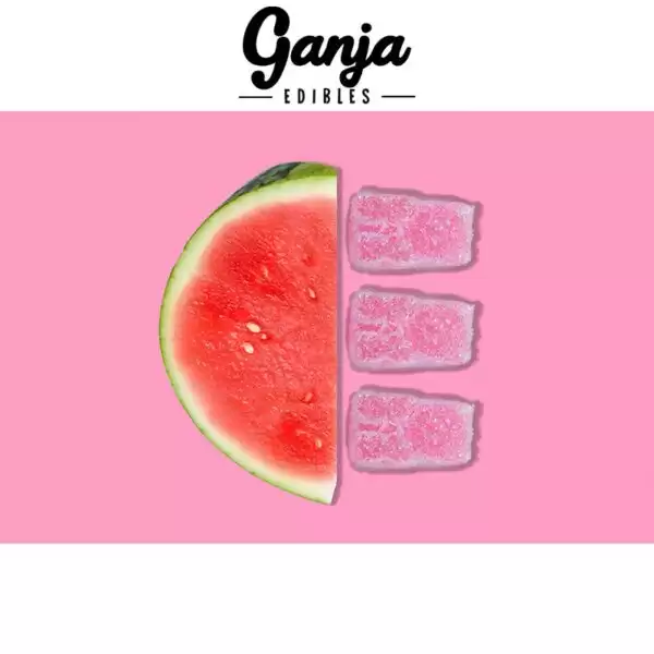 Ganja Edibles – Ganja Bears Sour Watermelon – 10 x 15mg THC - Image 2