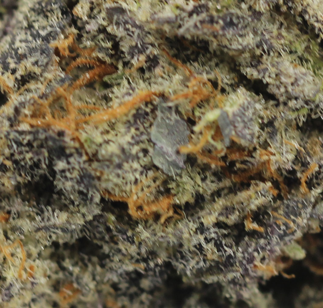 Violator (AA) $2.10/gram - Image 2