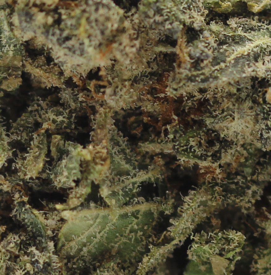 Runtz Smalls - $2.67/gram (AAA) - Image 2
