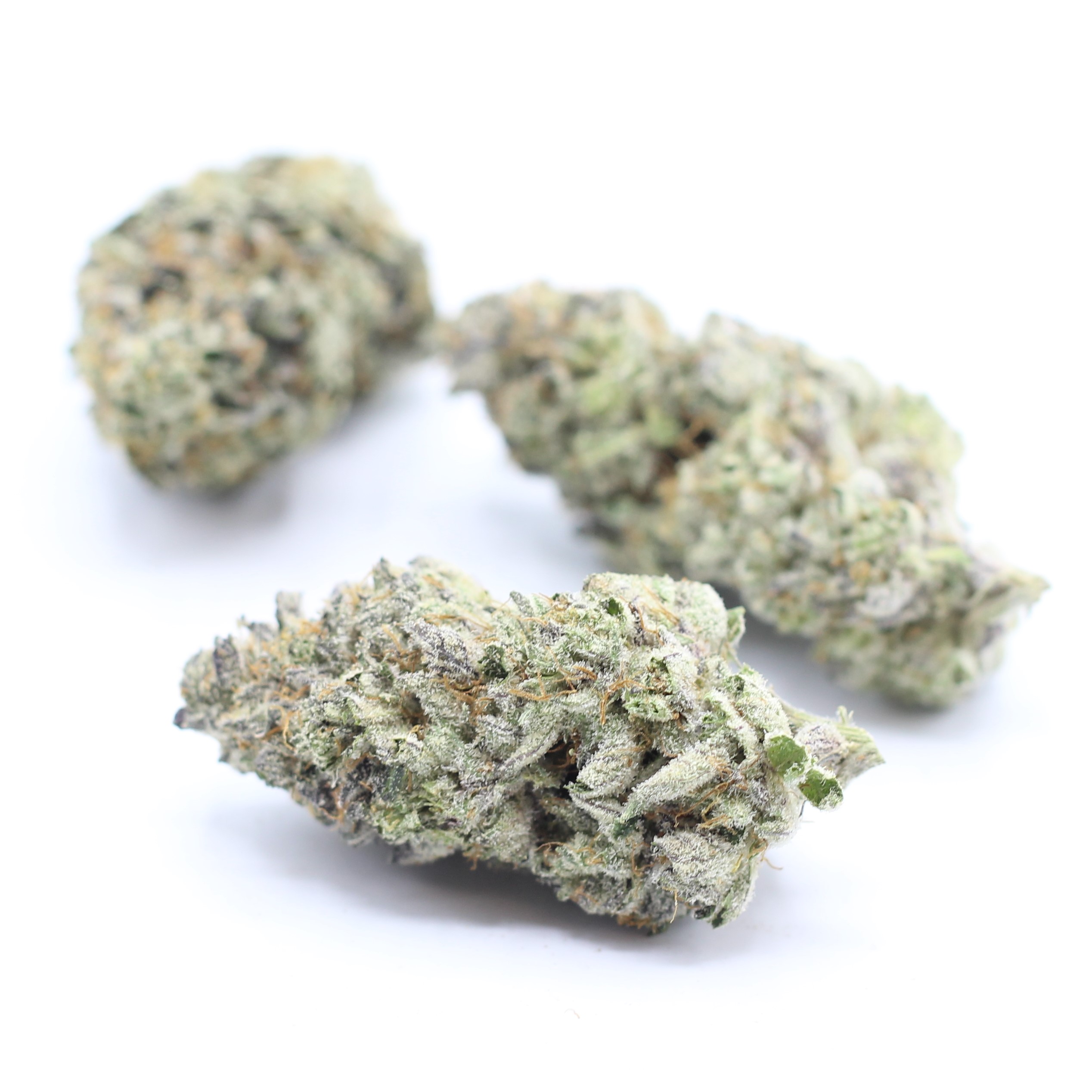 Gelato Dosido (AAAA+ Craft) - $7.50/gram - Image 3