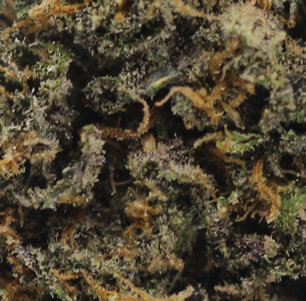 Pink Anxiety (AA) $2.14/Gram - Image 2