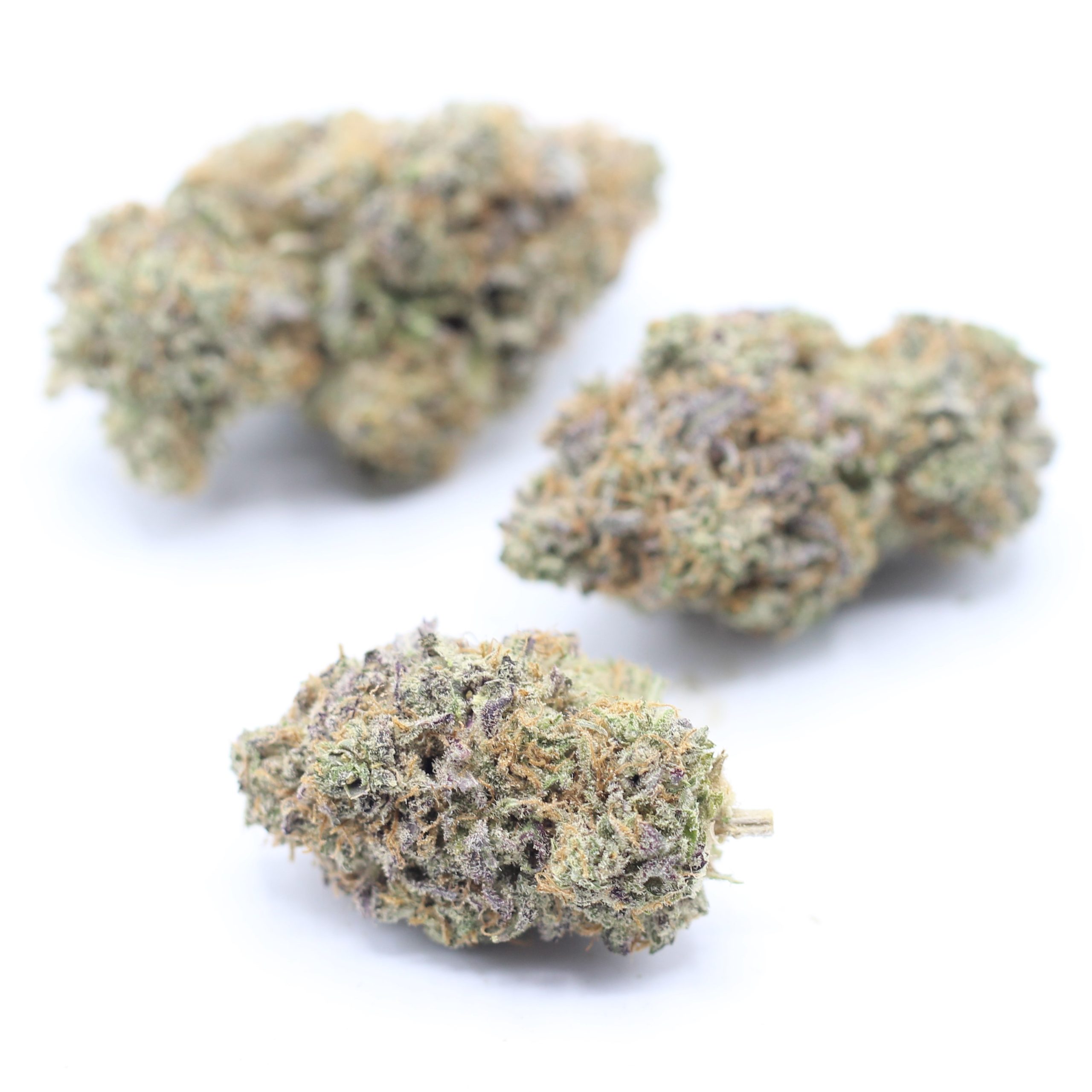 Snow Lotus (AAA) $4.46/gram - Image 3