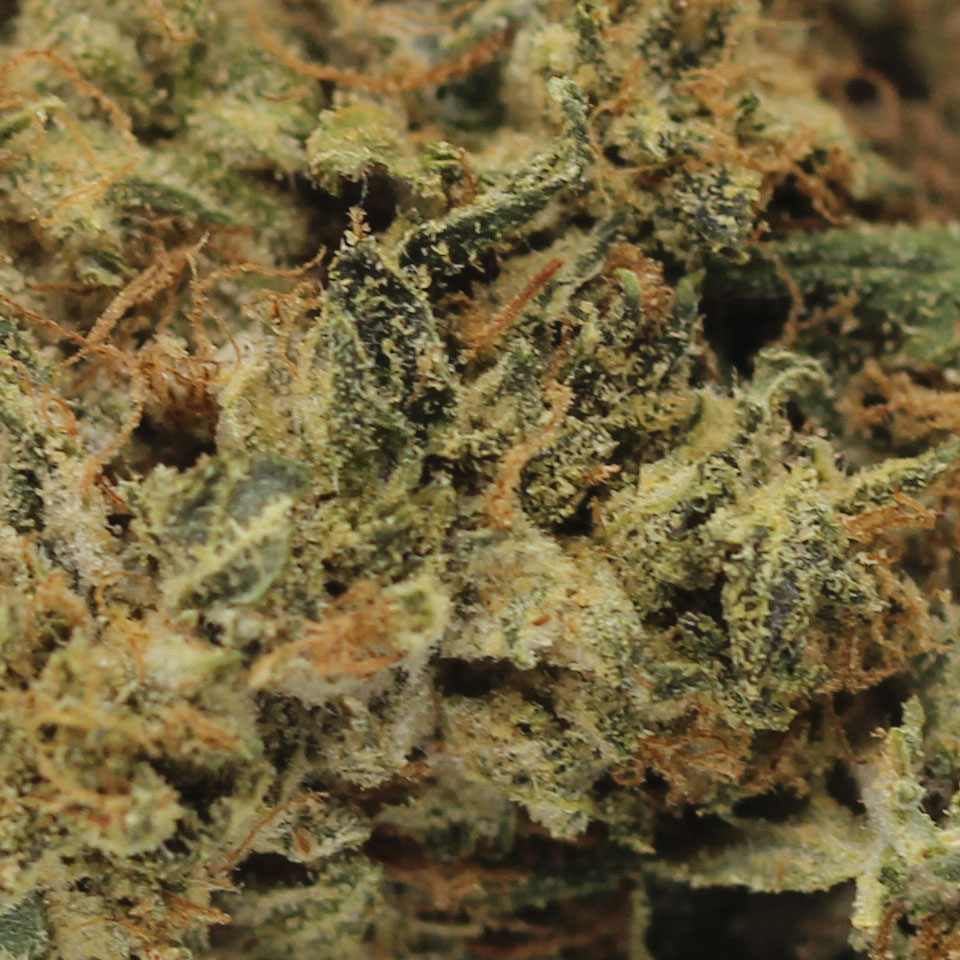 Cake Crasher - $3.03/gram (AA+) - Image 2