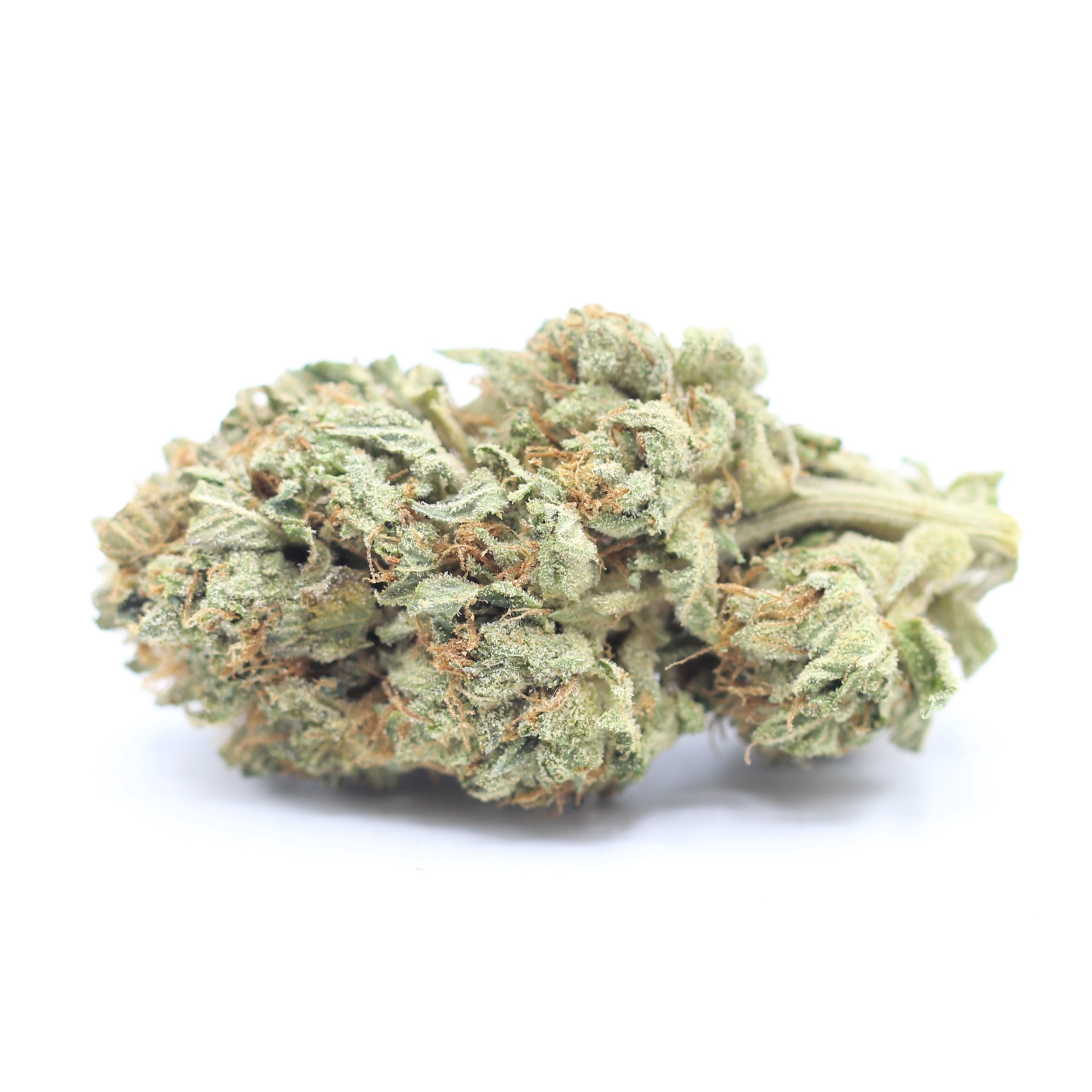 Snow Lotus (AAA) $4.46/gram