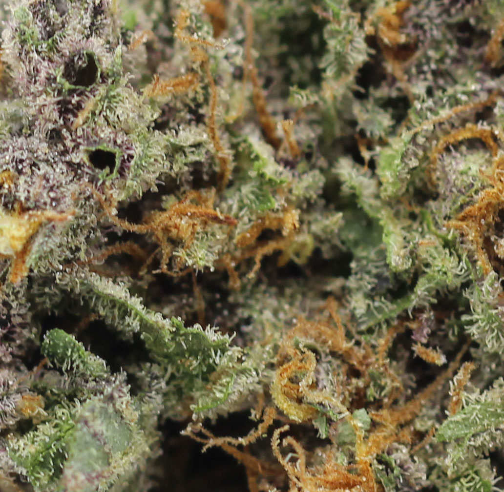 Mandarin Sunset (AAAA) $5.35/gram - Image 2