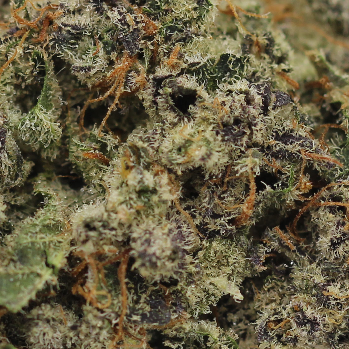 Donkey Butter (AAAA) $5.18/gram - Image 2