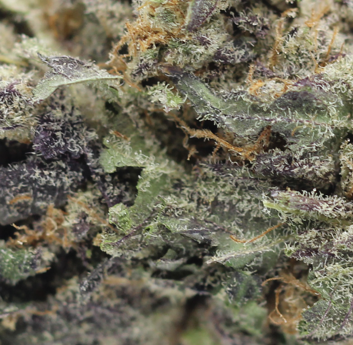 Mochi (AAAA+ Craft) - $6.42/gram - Image 2