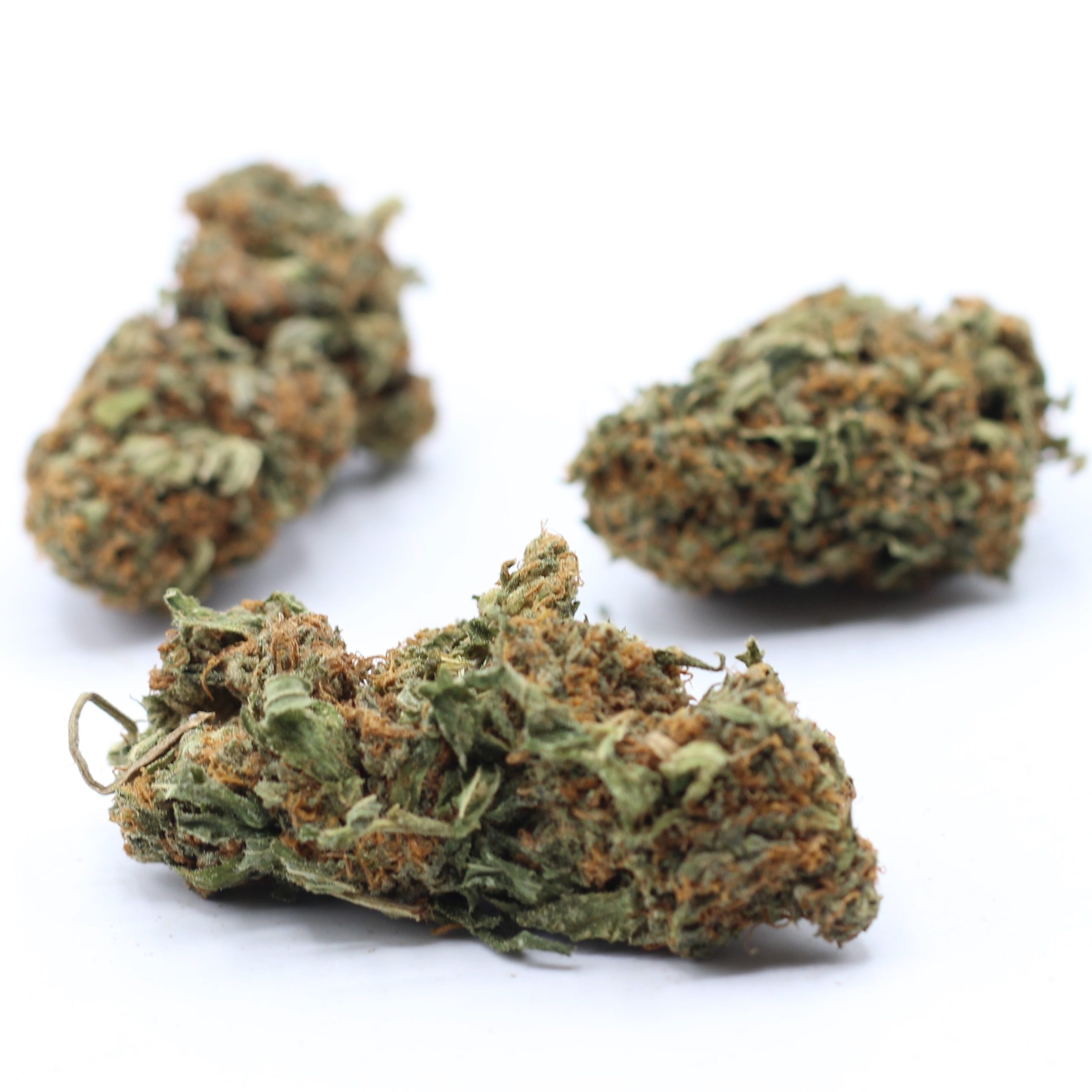 Blackberry (AA) $2.21/gram - Image 3