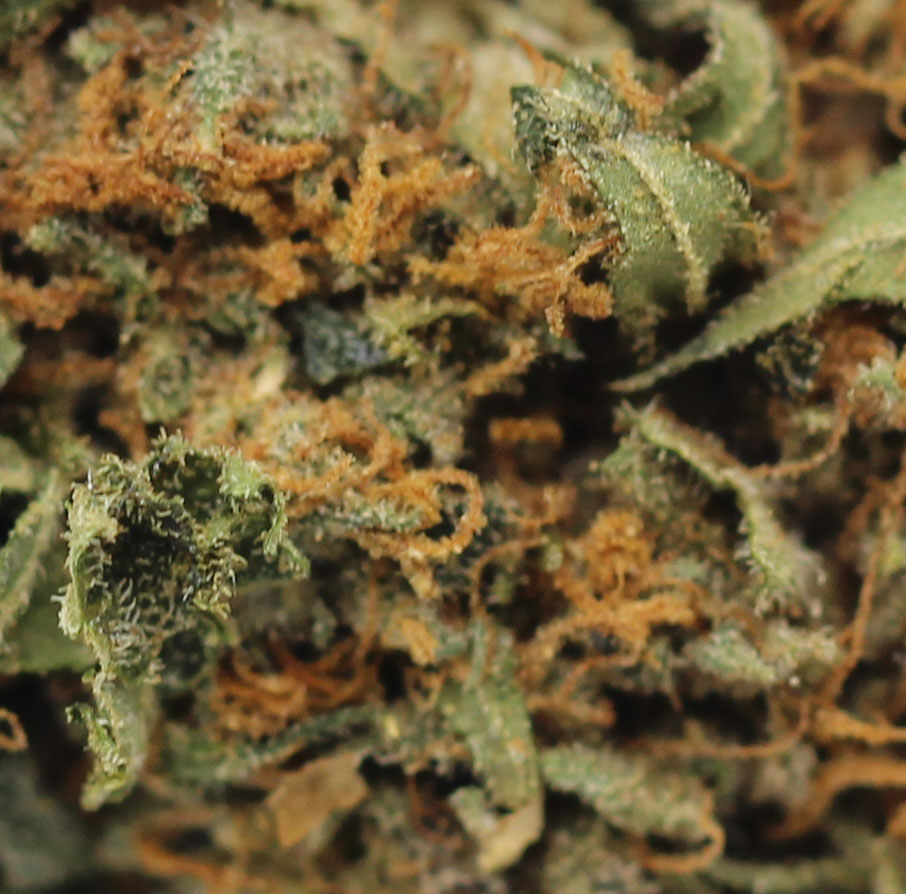 Blackberry (AA) $2.21/gram - Image 2