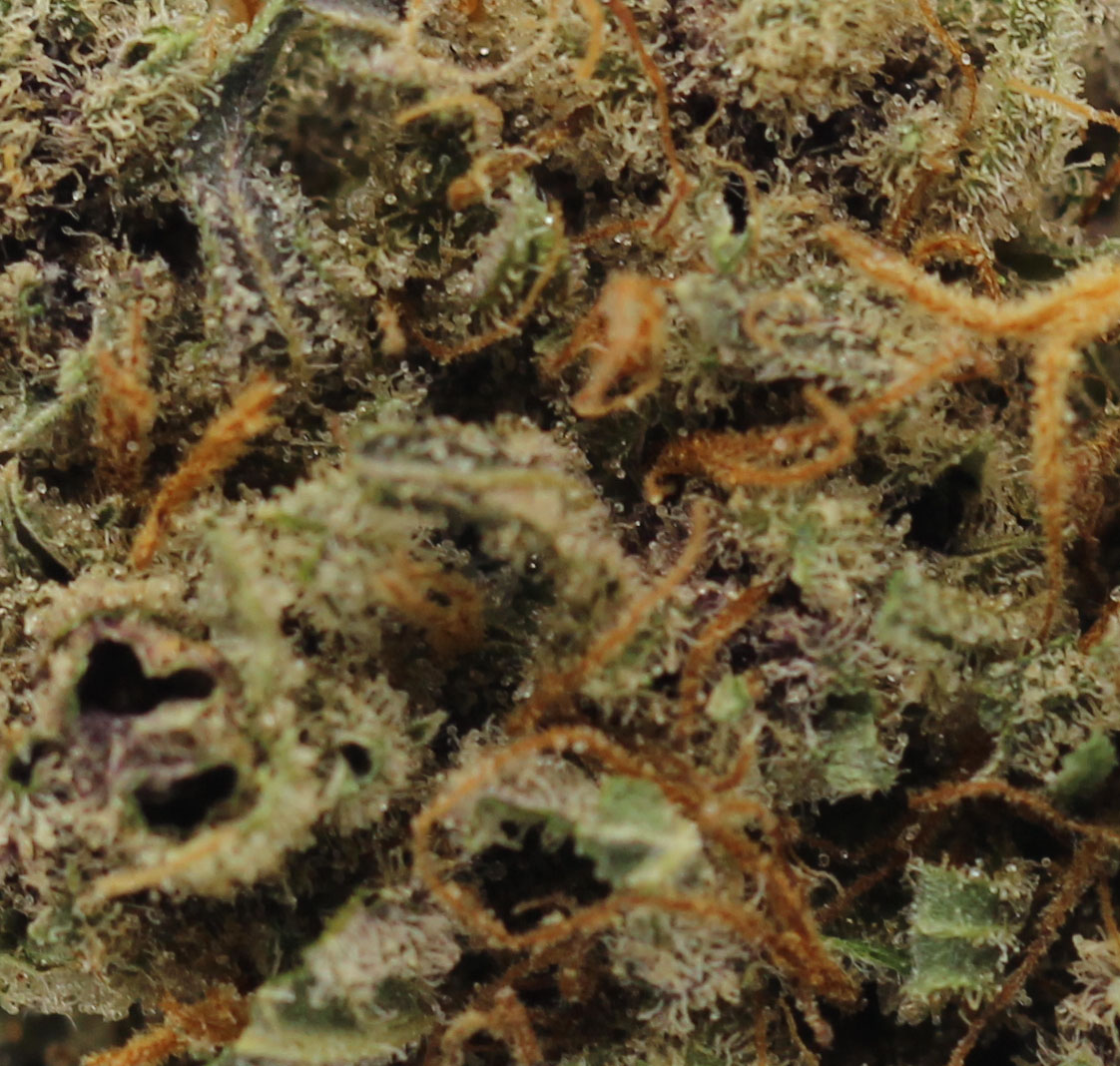 Sin Mintz (AAA) $4.64/gram - Image 2