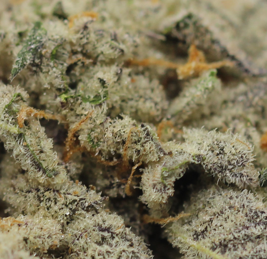 Ice Wine (AAA) - $4.18/gram - Image 2