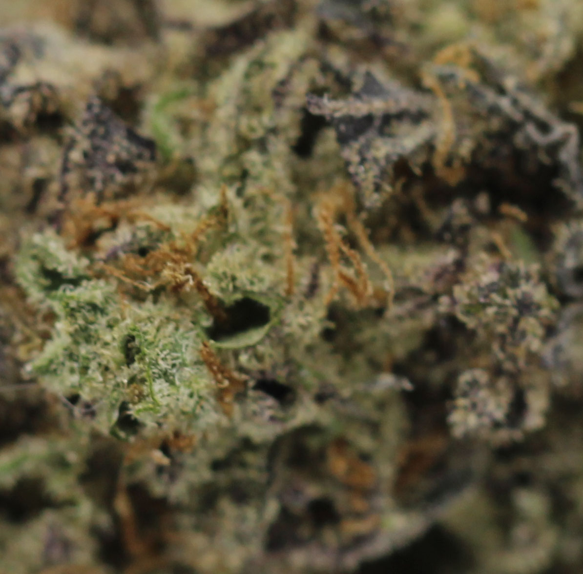 Kush Sorbet (AAA) - $4.96/gram - Image 2