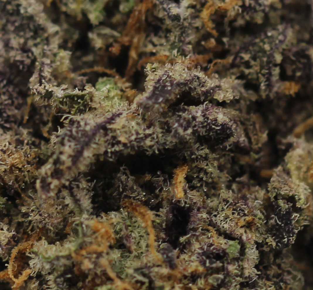 NYC Diesel (AAA) $4.35/gram - Image 2