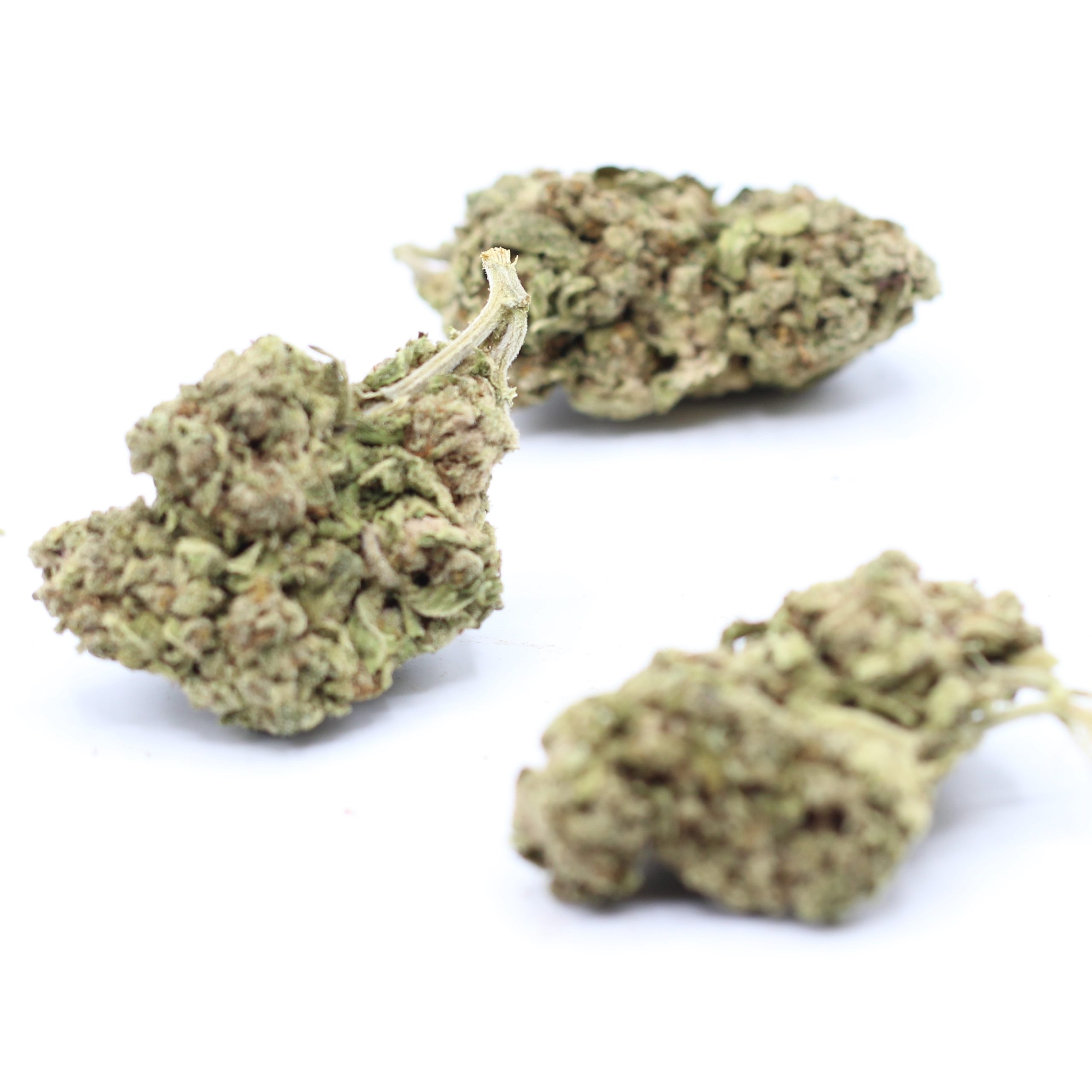 Predator Pink (AA+) - $2.82/gram - Image 3