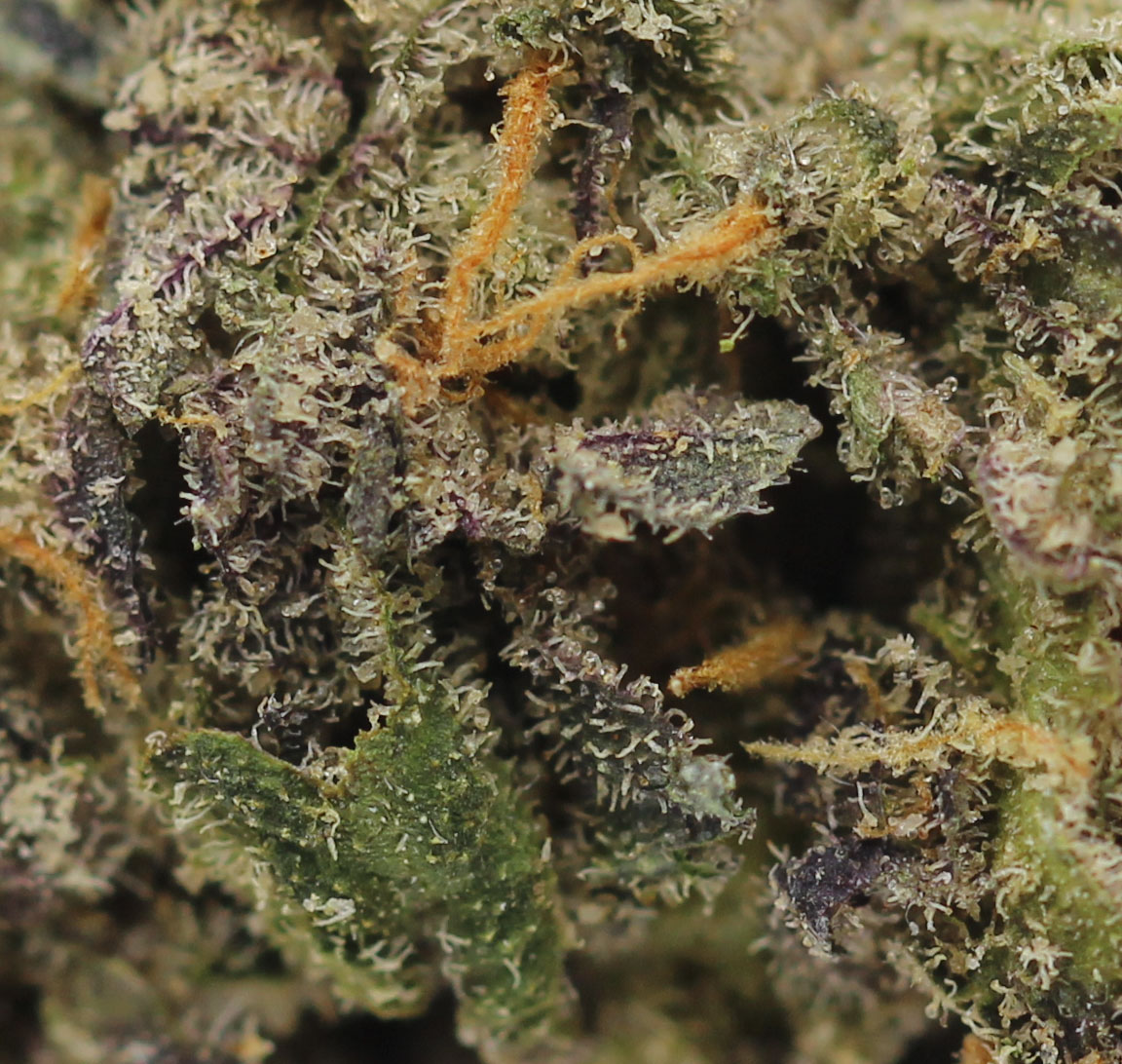 Purple Runtz (AAA+) - $4.96/gram - Image 2