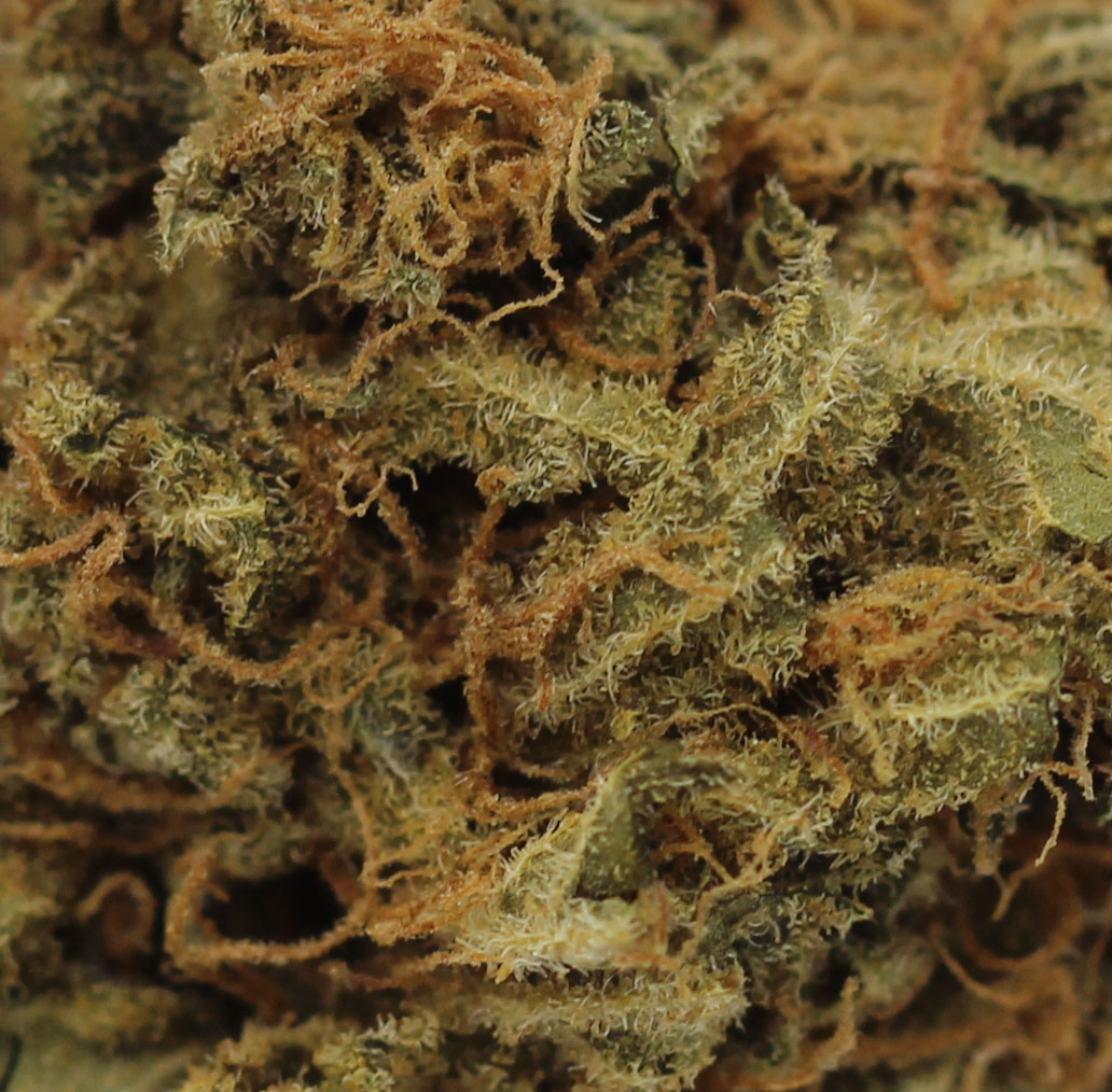 Sherbet (AA) $2.03/gram - Image 2