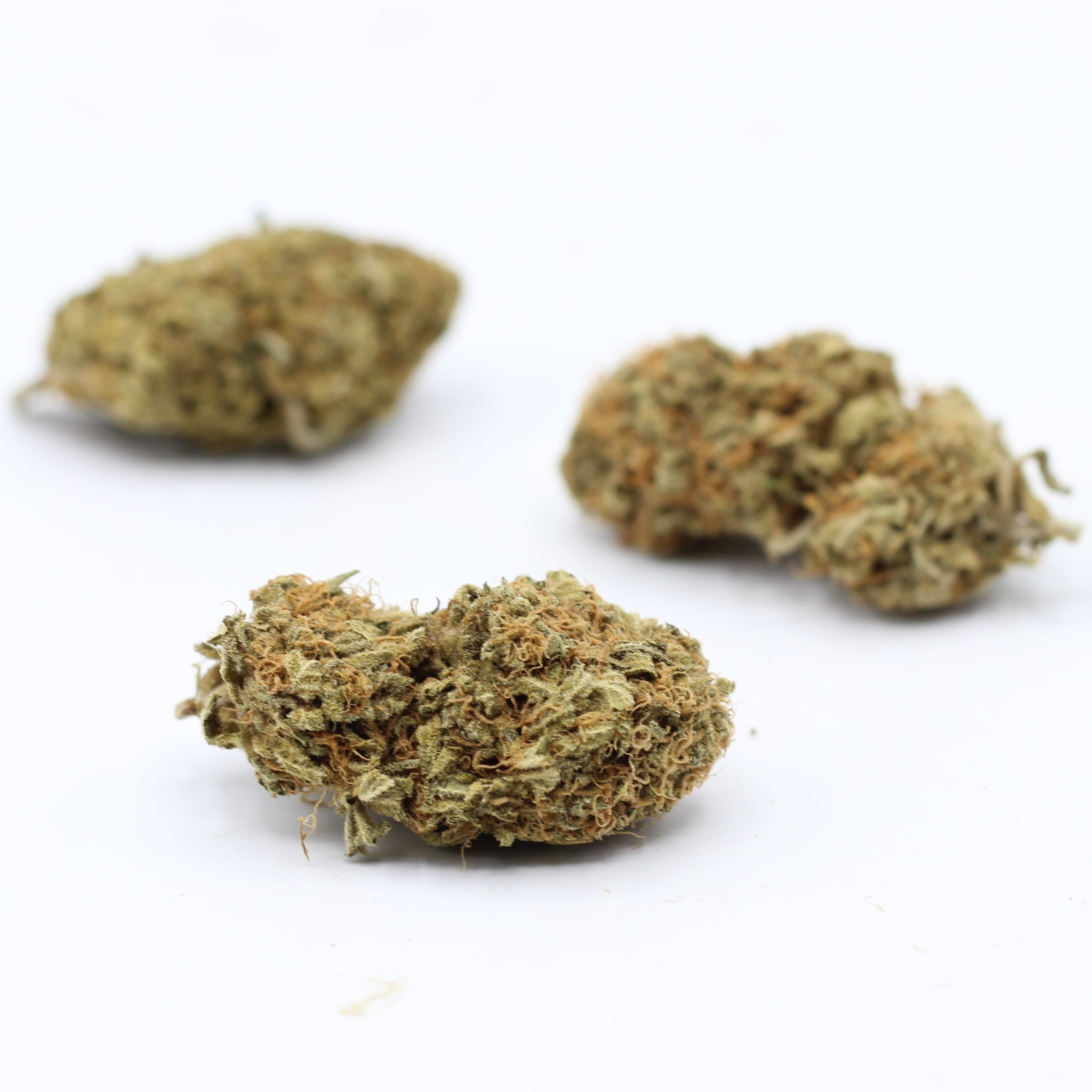Sherbet (AA) $2.03/gram - Image 3