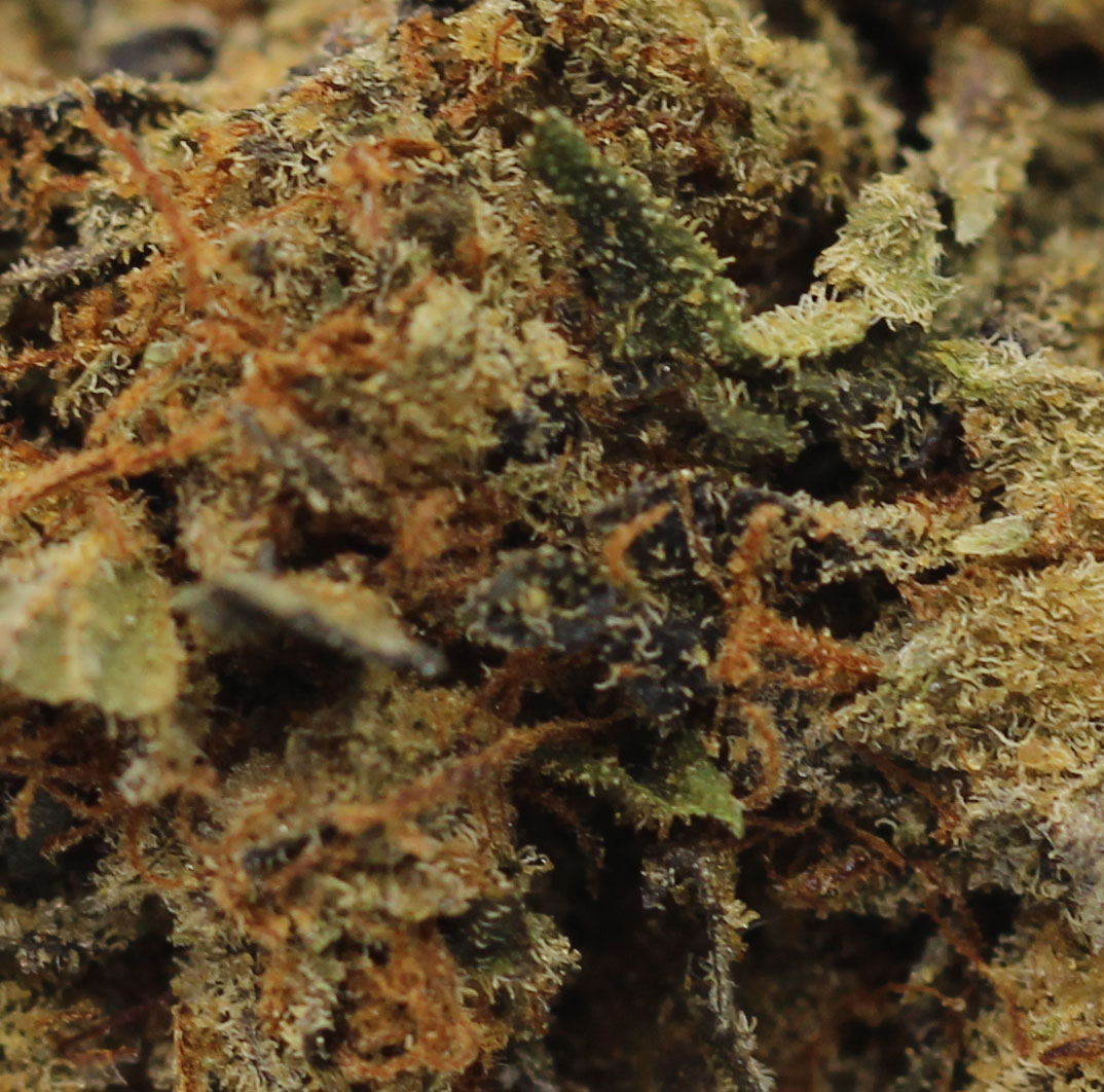 Super Pink (AAA) $4.21 /gram - Image 2