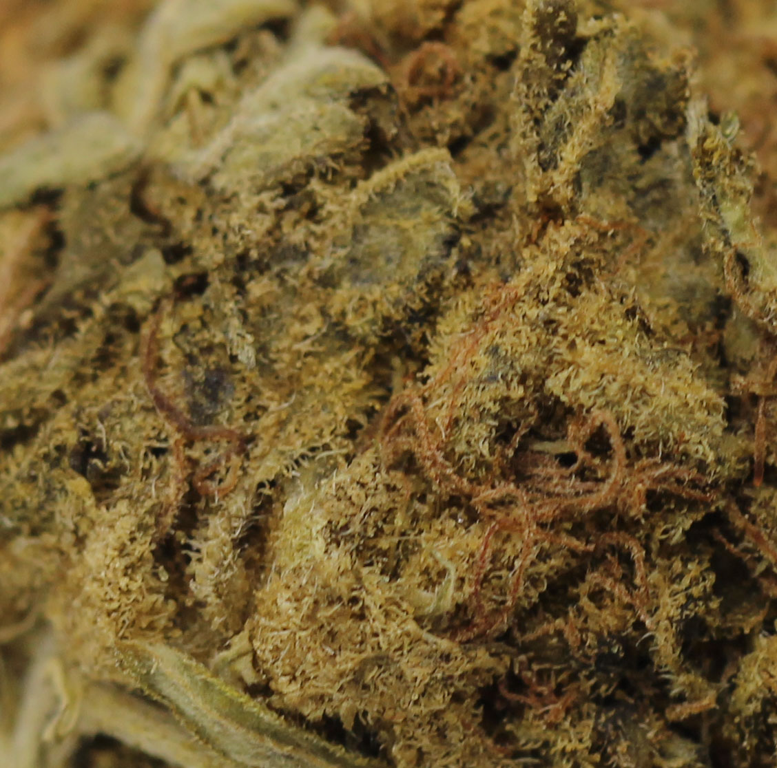 Raspberry (AA+) $1.25/gram - Image 2