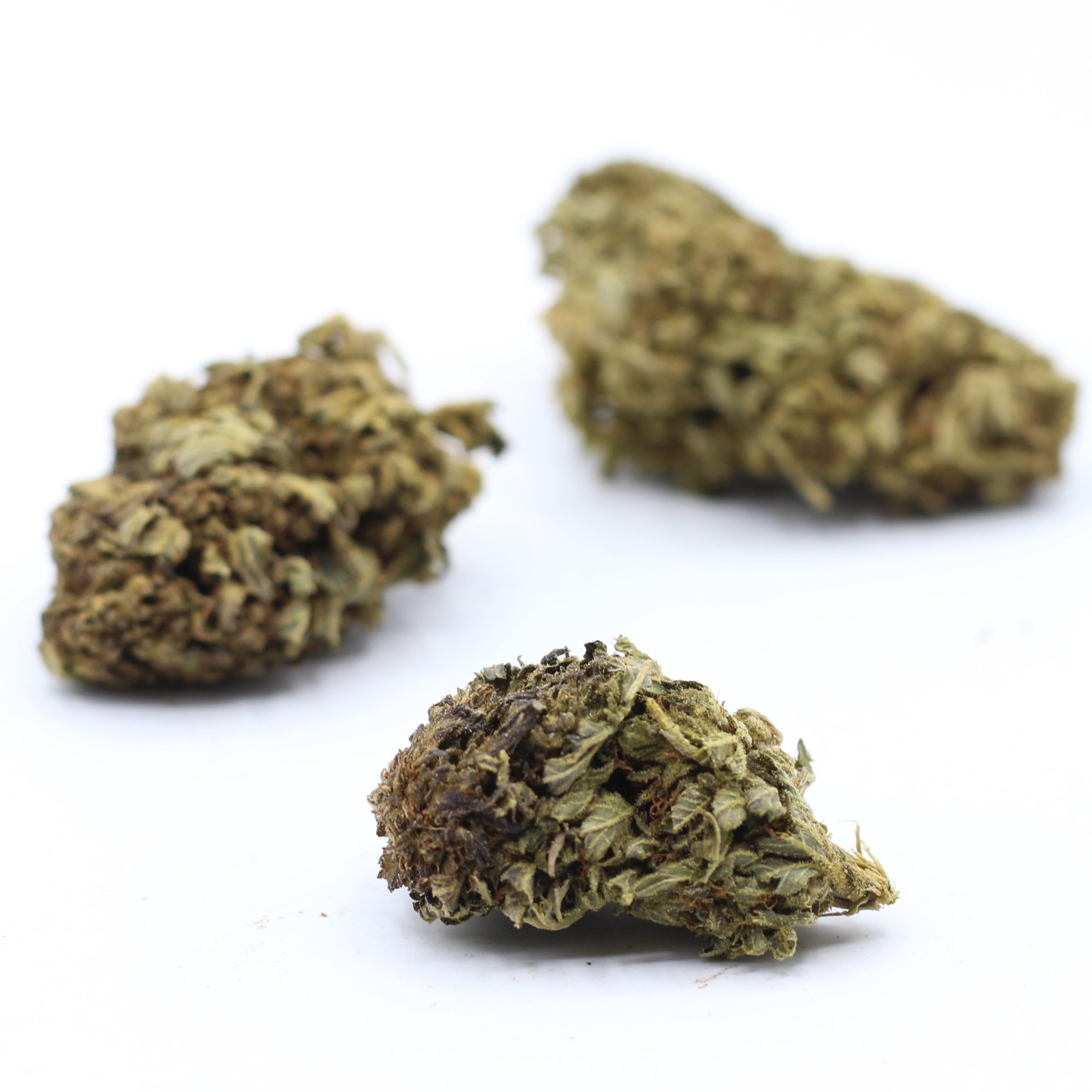 Acapulco (AA) $2.03/gram - Image 3