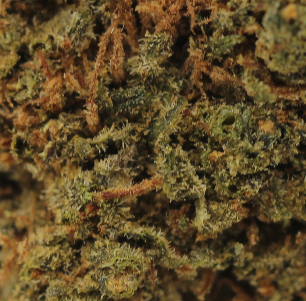 Mataro Blue (AA+) - $2.82/gram - Image 2