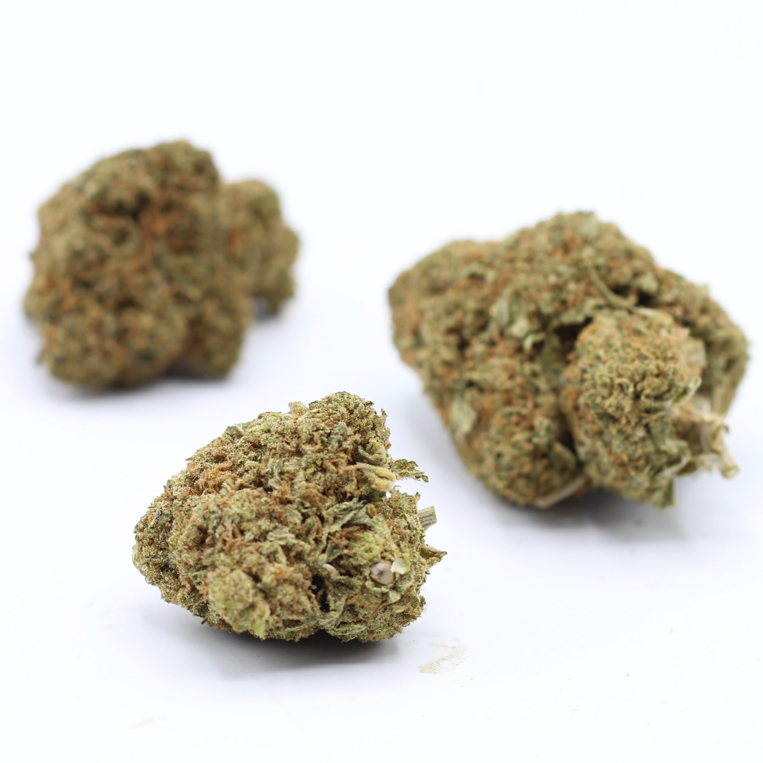 Mataro Blue (AA+) - $2.82/gram - Image 3