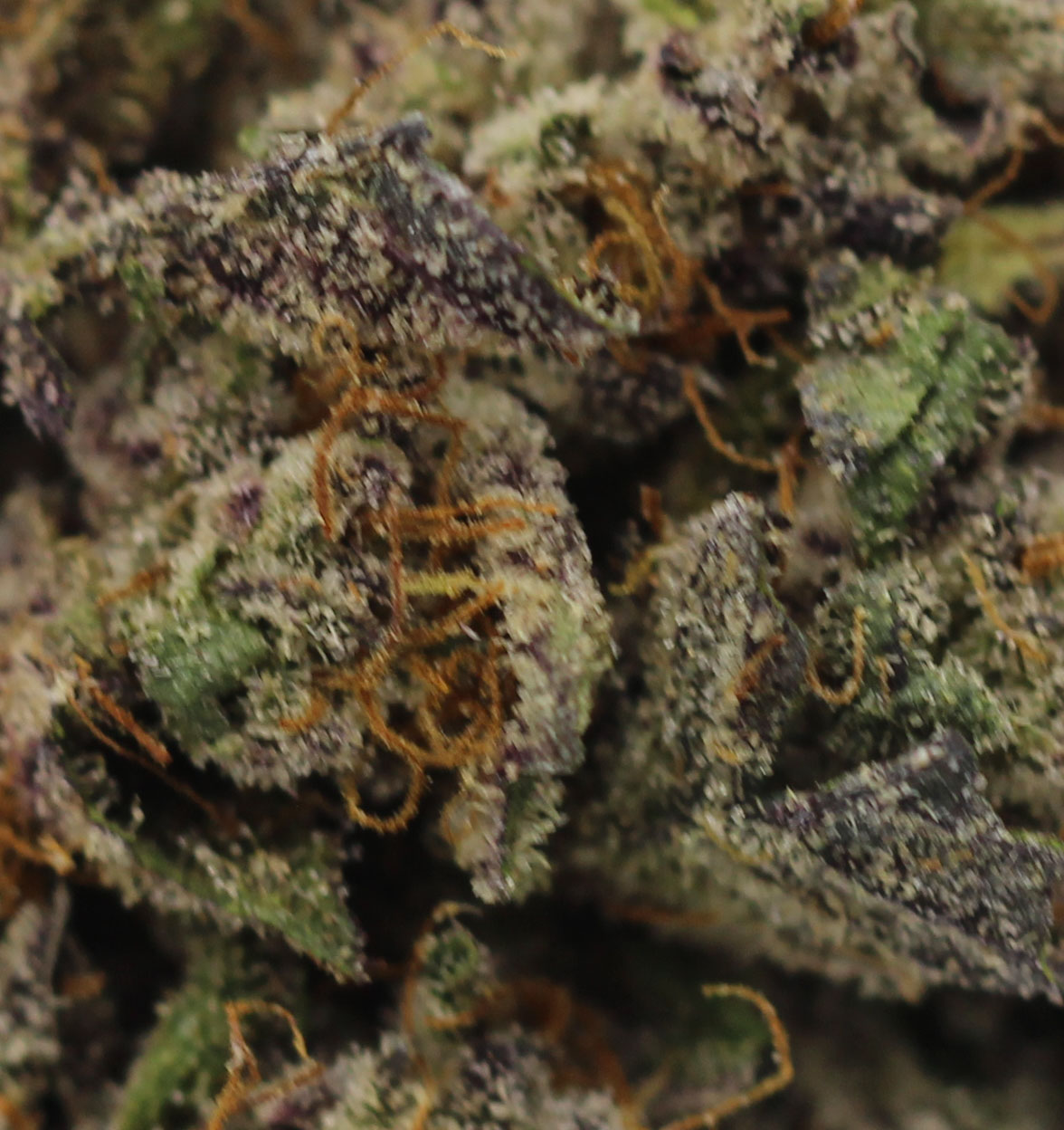 Darth Vader (AAAA+Craft) $6.61/gram - Image 2