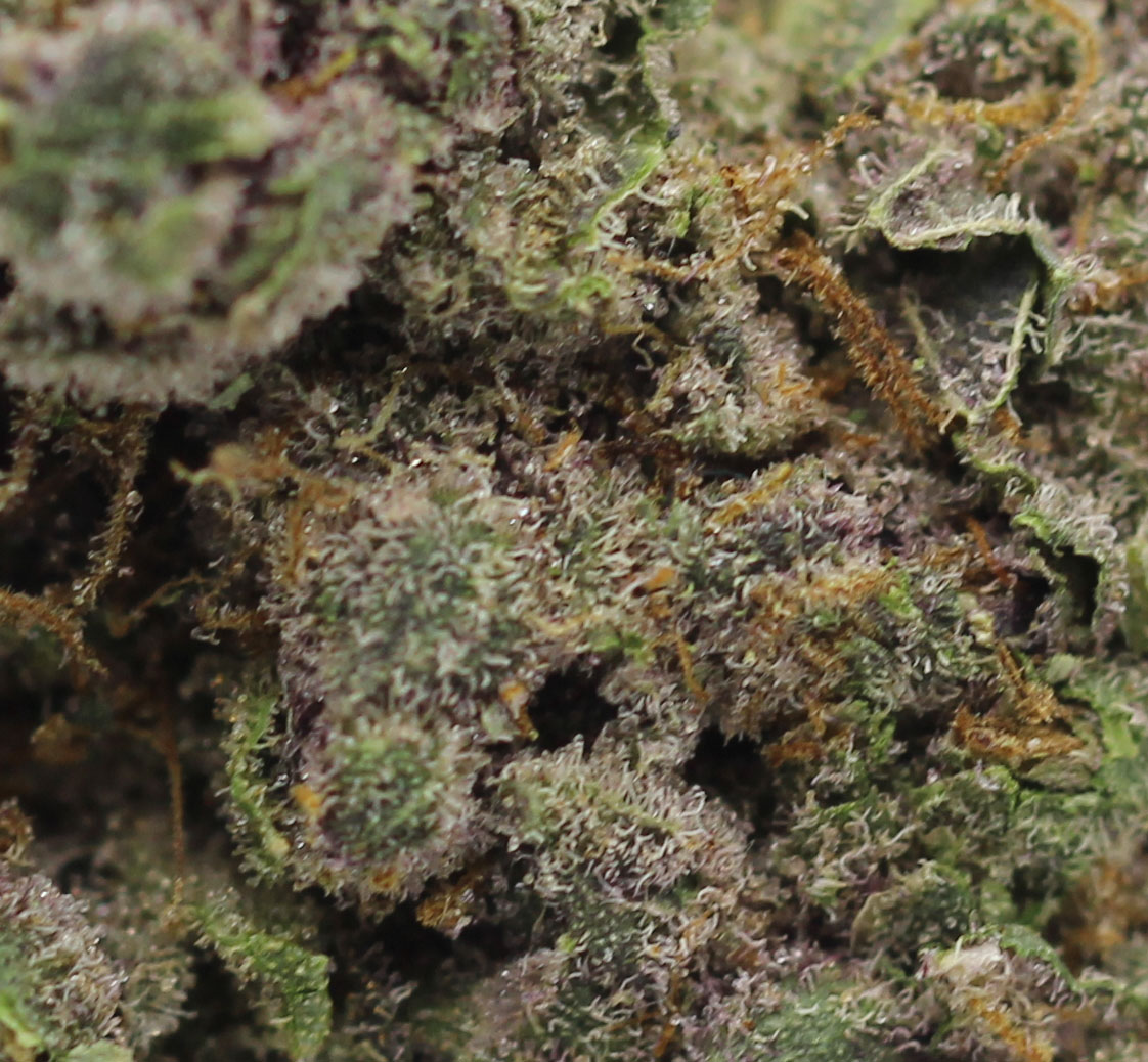 Gasberry (AAAA+ Craft) $6.61/gram - Image 2