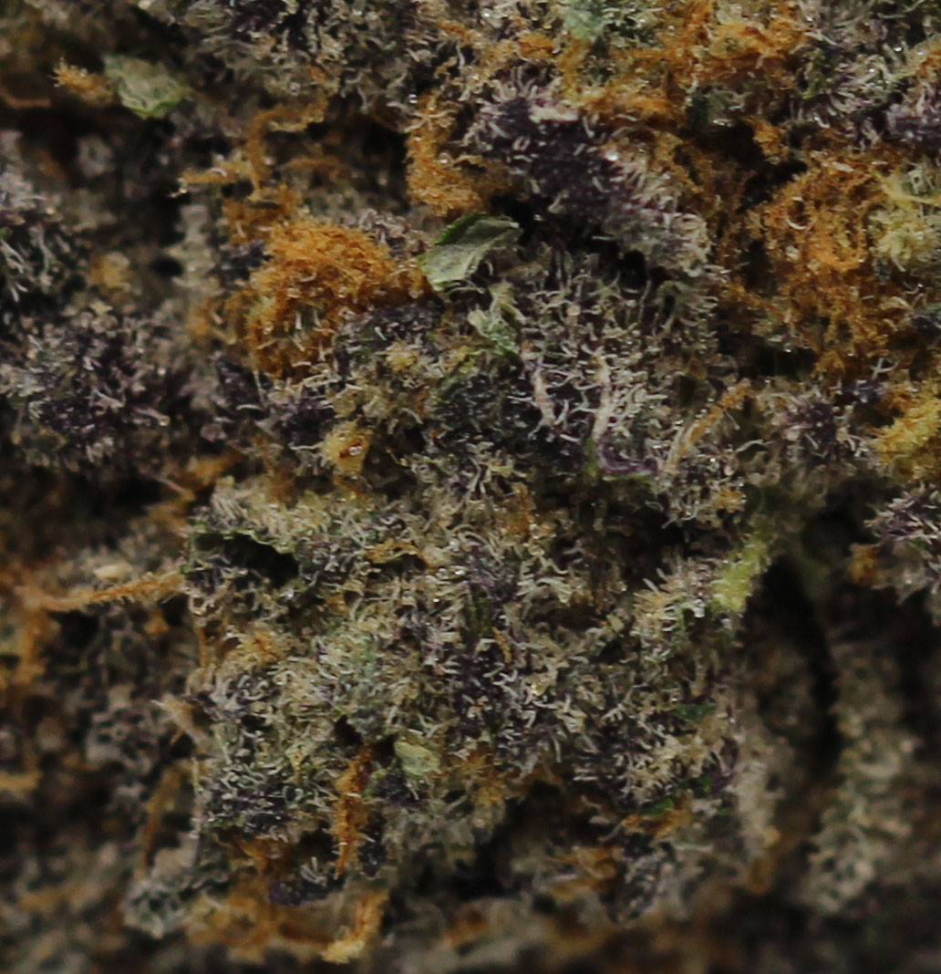 Ice Cream Mintz (AAAA+ Craft) $6.61/gram - Image 2