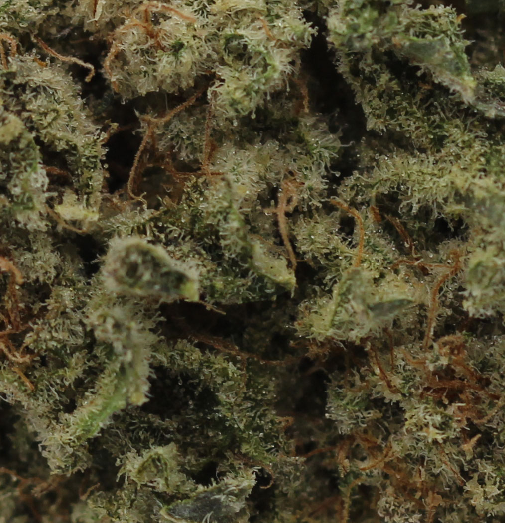 Lemon Ice (AAA) $4.35/gram - Image 2