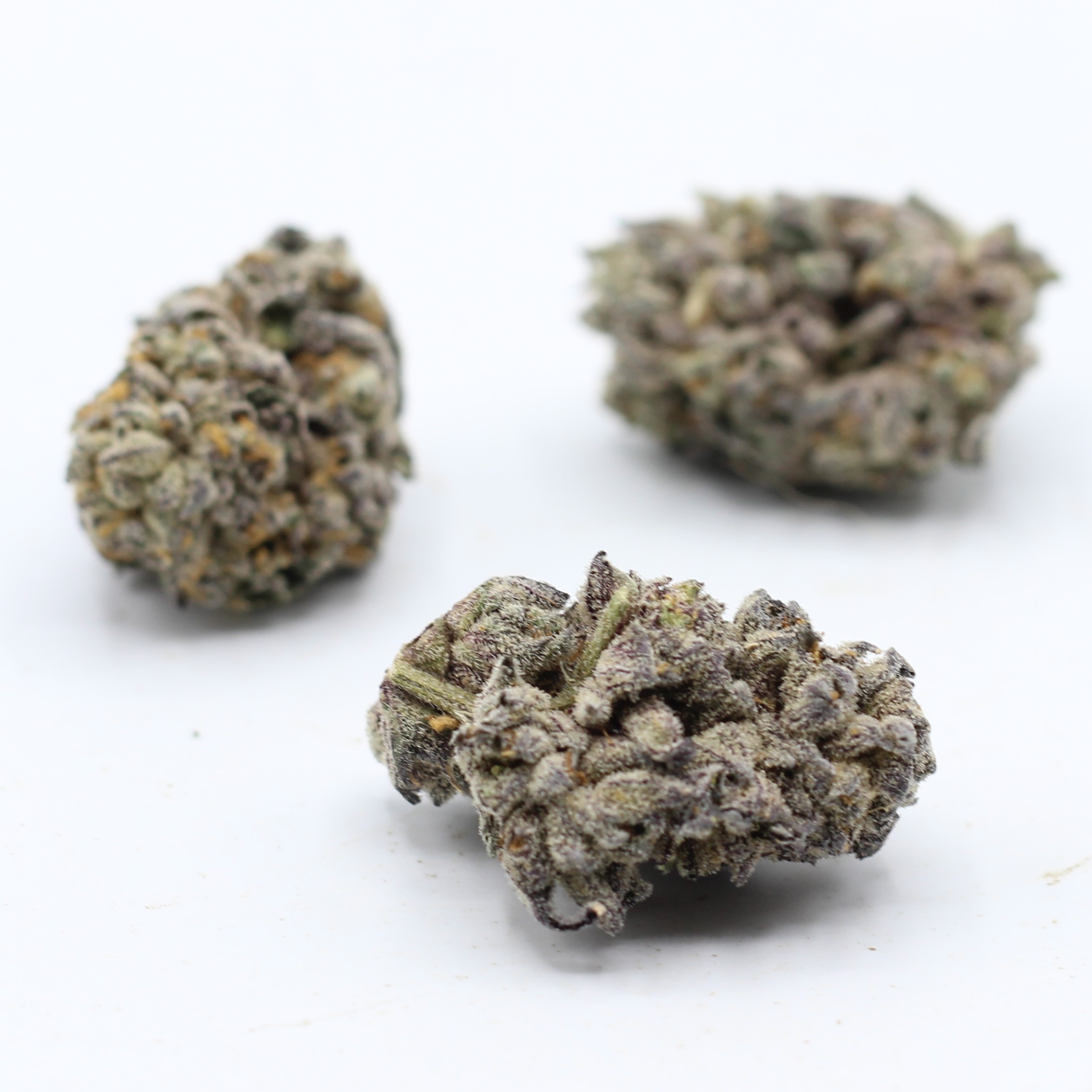 Oreoz (AAAA+ Craft) $6.61/gram - Image 3
