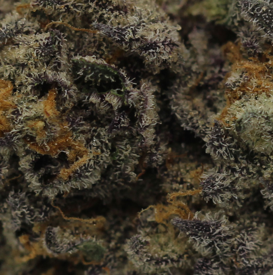 Oreoz (AAAA+ Craft) $6.61/gram - Image 2