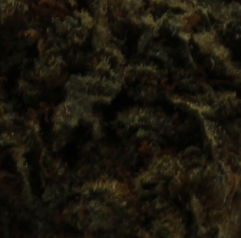 3 Kings Smalls (AA) $1.89/Gram - Image 2
