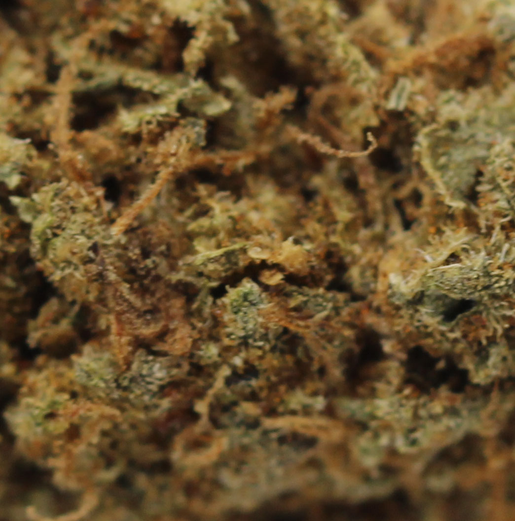 Earth OG (AA) $2.17/gram - Image 2