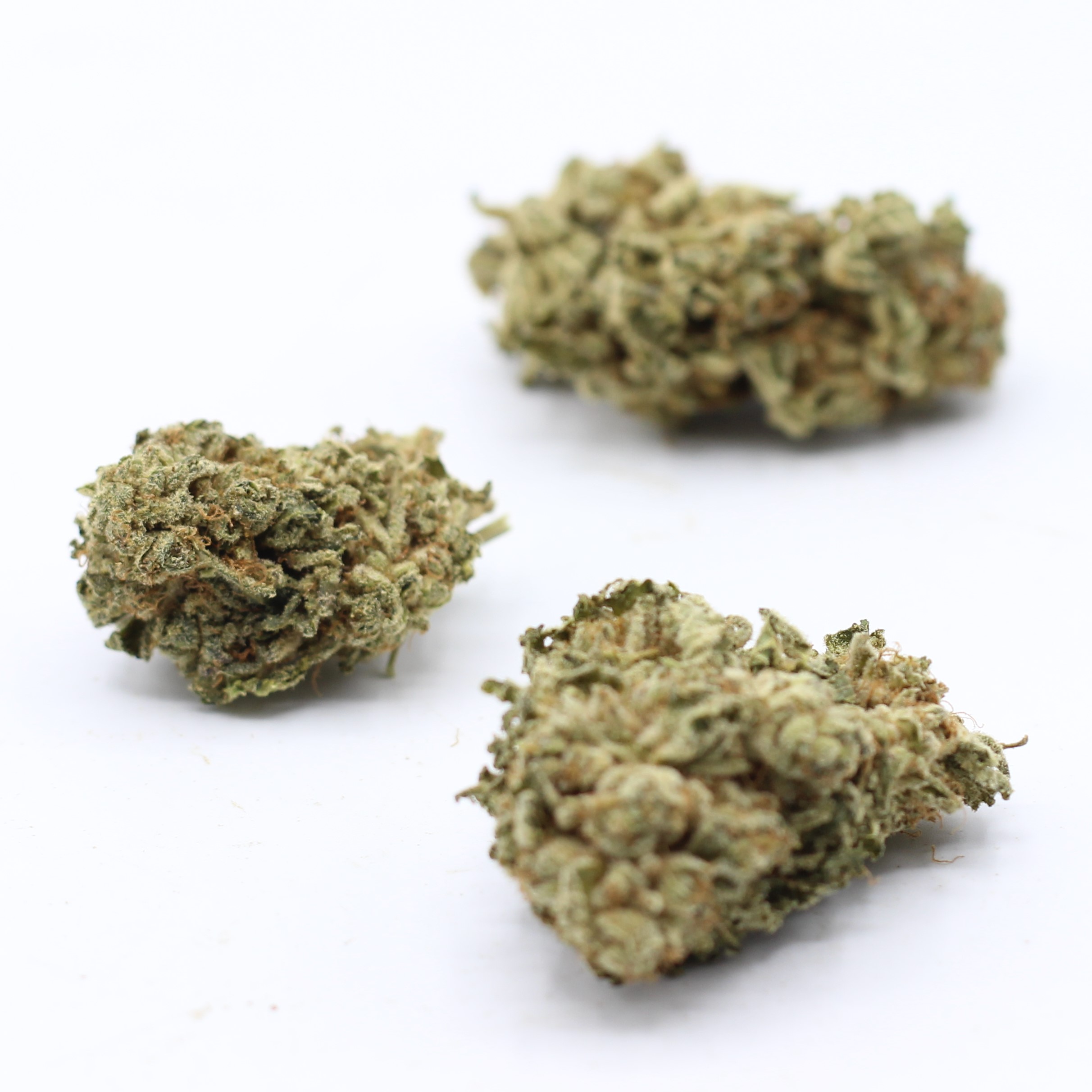 Gelato (AA) $2.17/gram - Image 3
