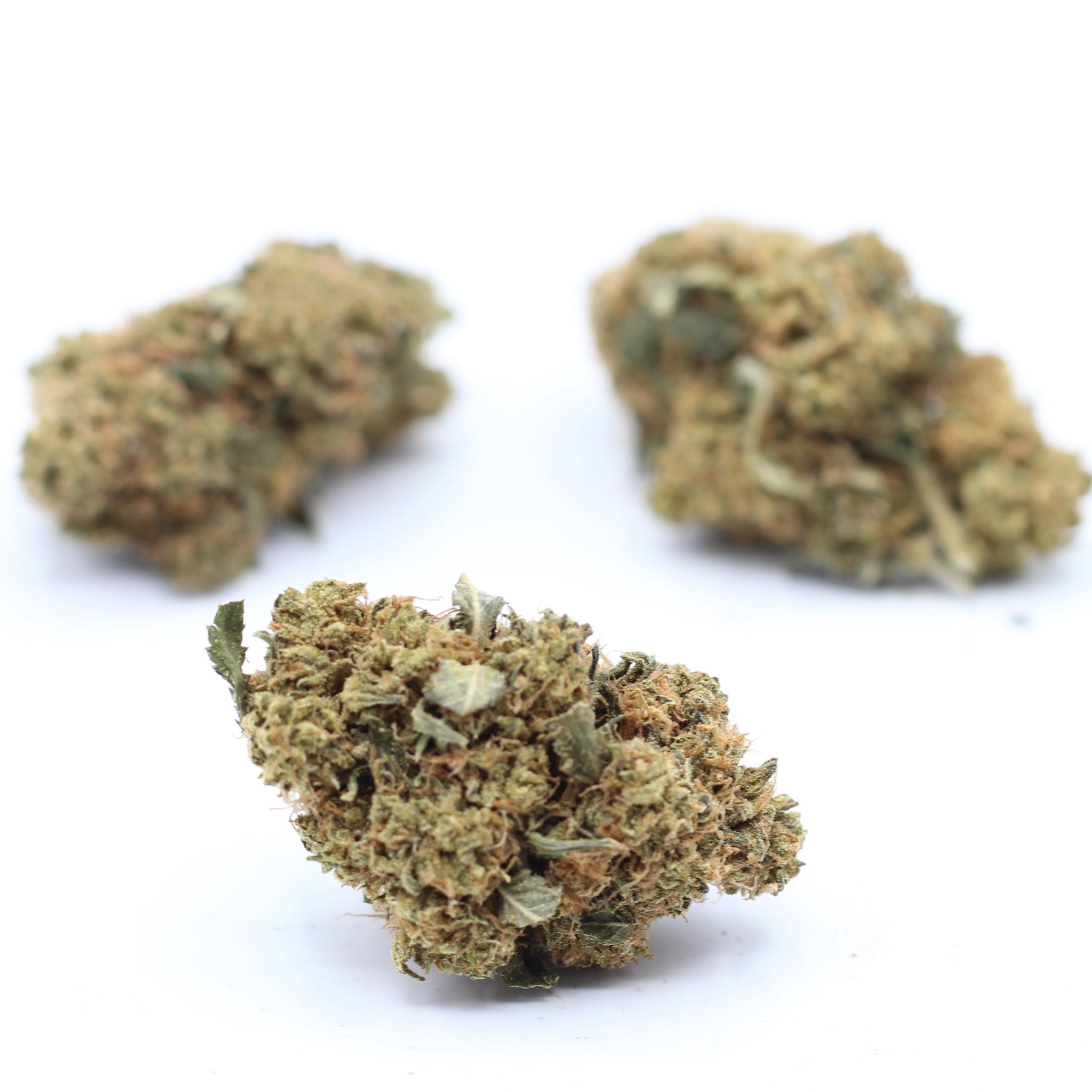 Island Pink (AA) $2.14/gram - Image 3